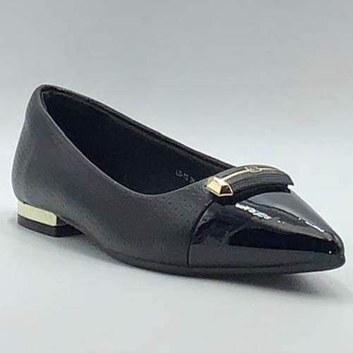 Zapatos 1
